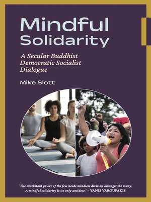 cover image of Mindful Solidarity
